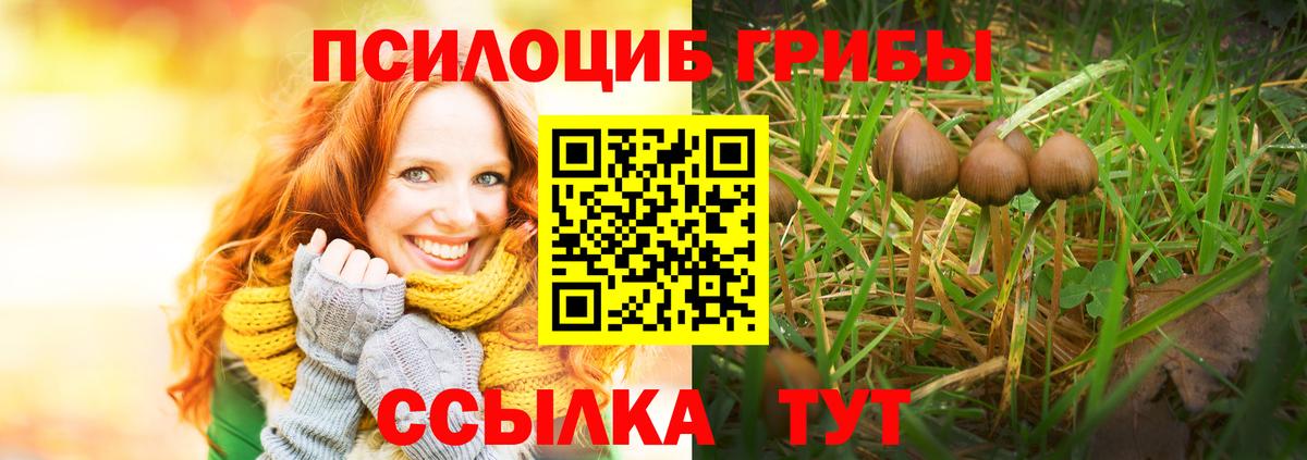Галлюциногенные грибы Cubensis Звенигород