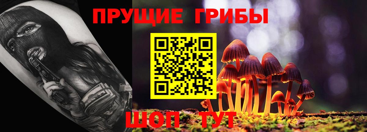 Звенигород  Галлюциногенные грибы Psilocybine cubensis  Вход с VPN 